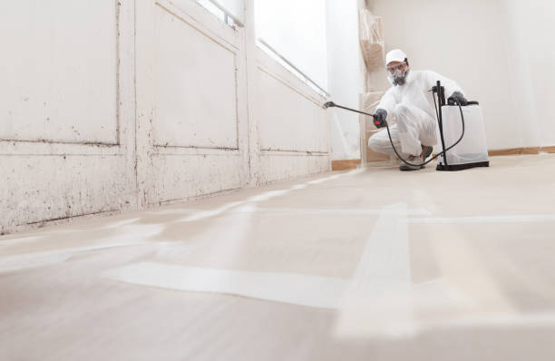 24/7 Emergency Attic Mold Removal experts in Deer Park, IL